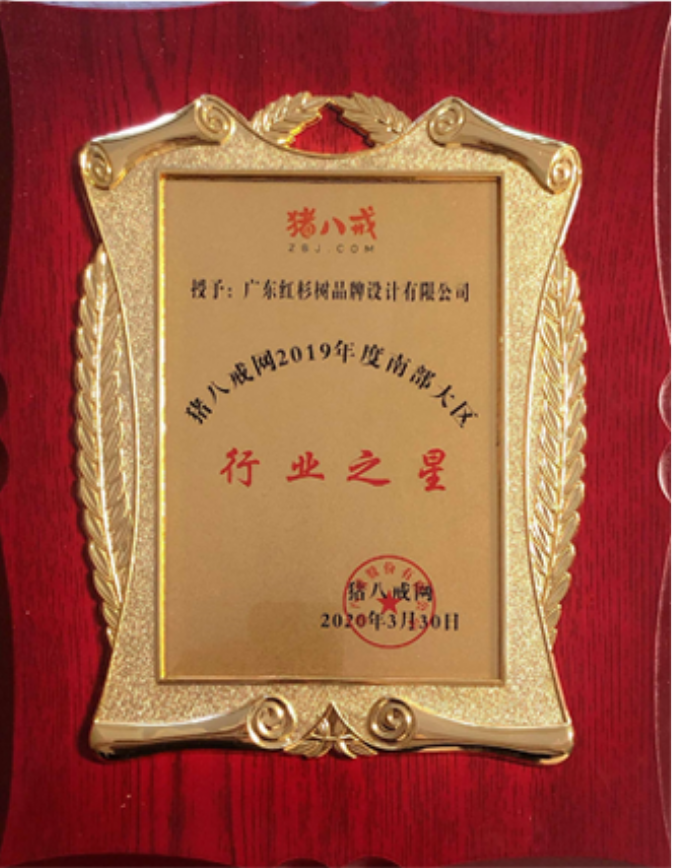 2019南部大区行业之星