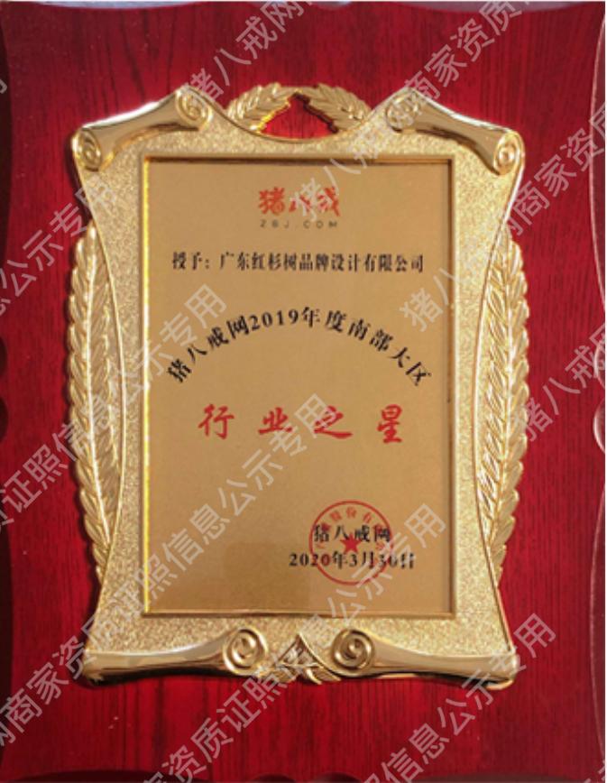 2019南部大區(qū)行業(yè)之星