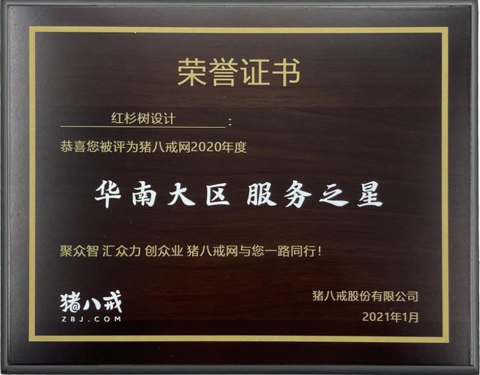 华南大区服务之星