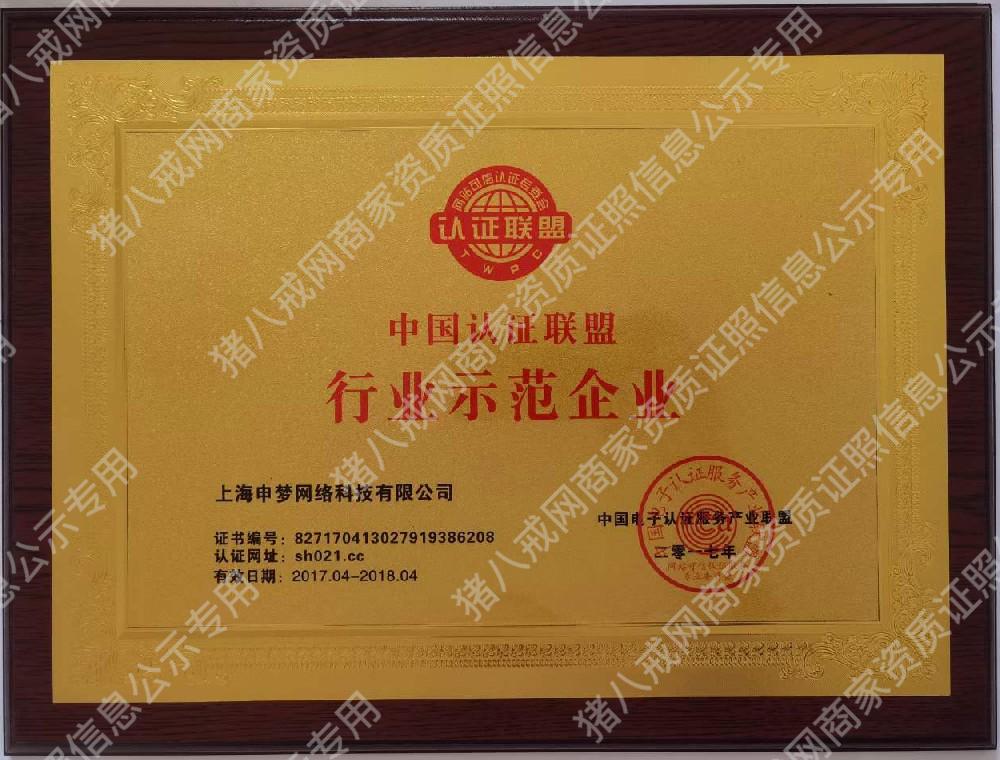 行業(yè)示范企業(yè)