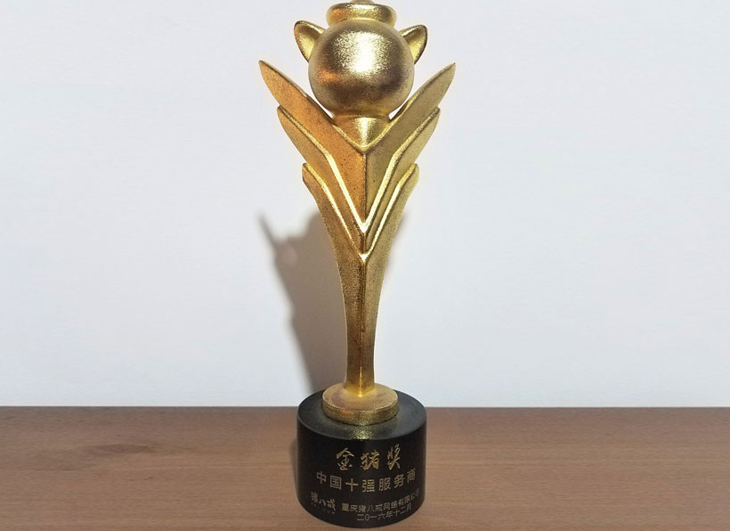 中國十強(qiáng)服務(wù)商