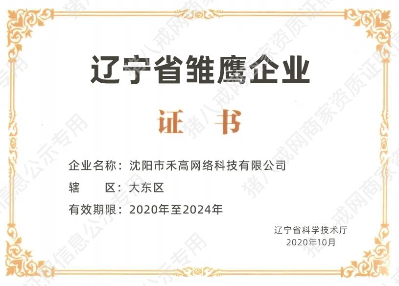 遼寧省雛鷹企業(yè)證書