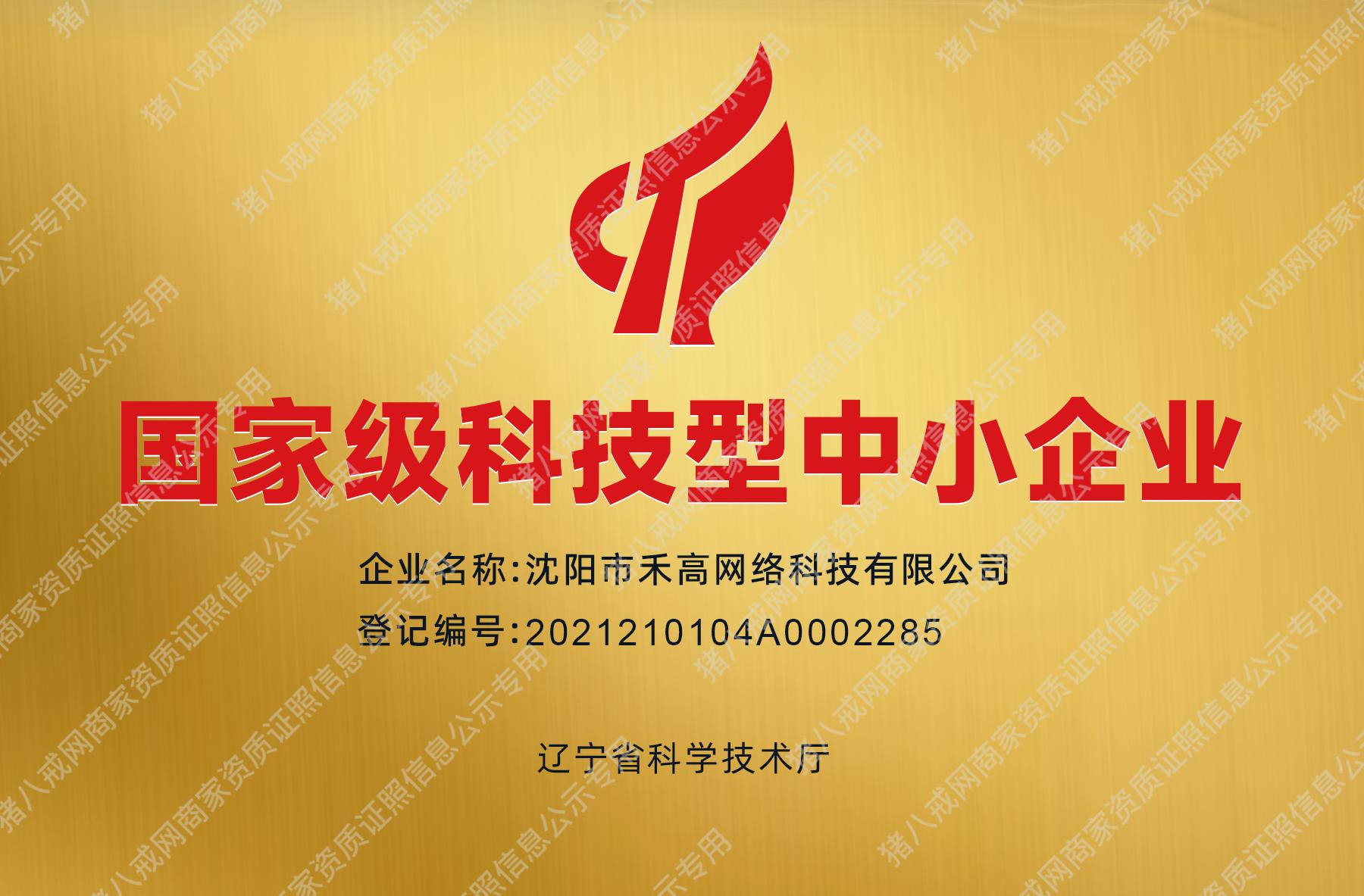 國家級科技型中小企業(yè)