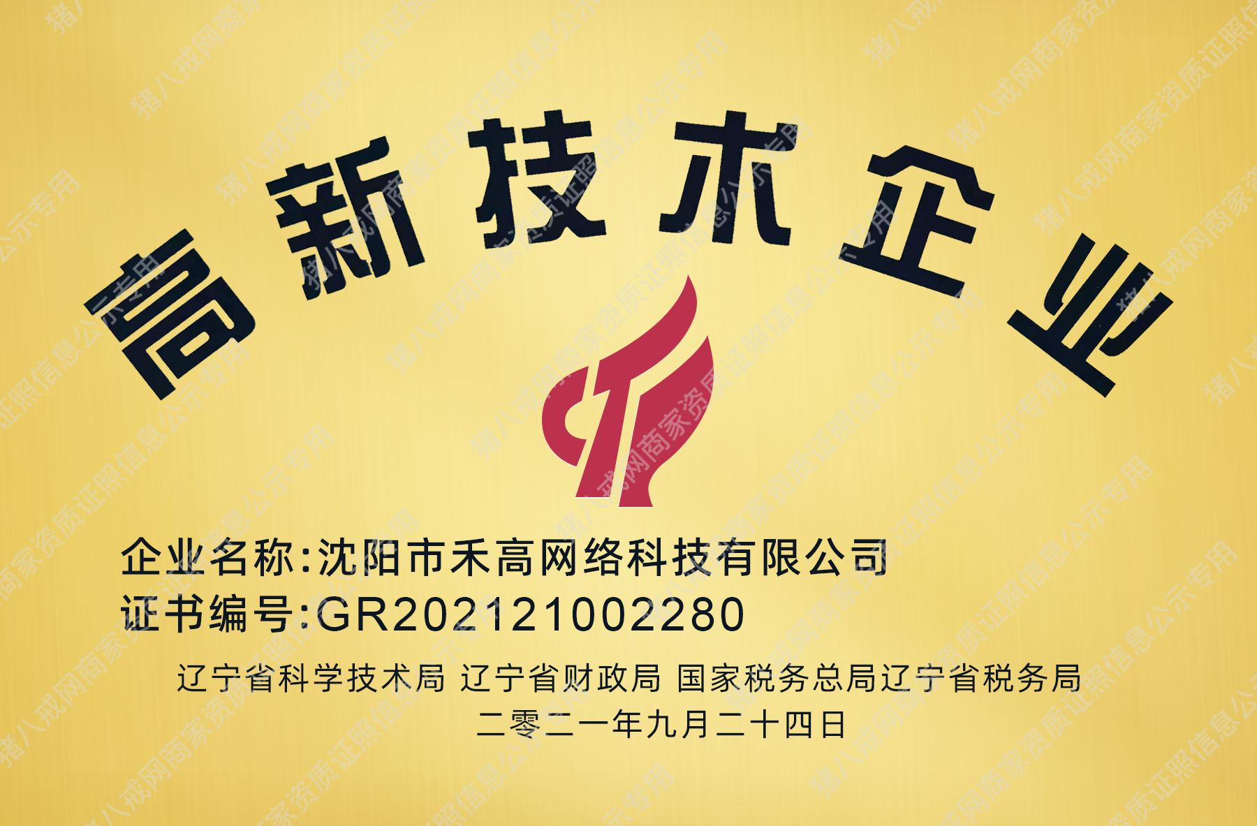 高新技術(shù)企業(yè)