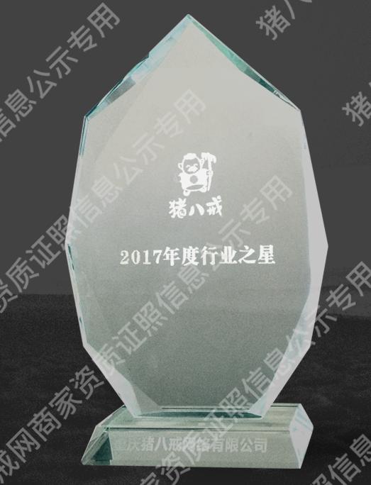2017年度行業(yè)之星