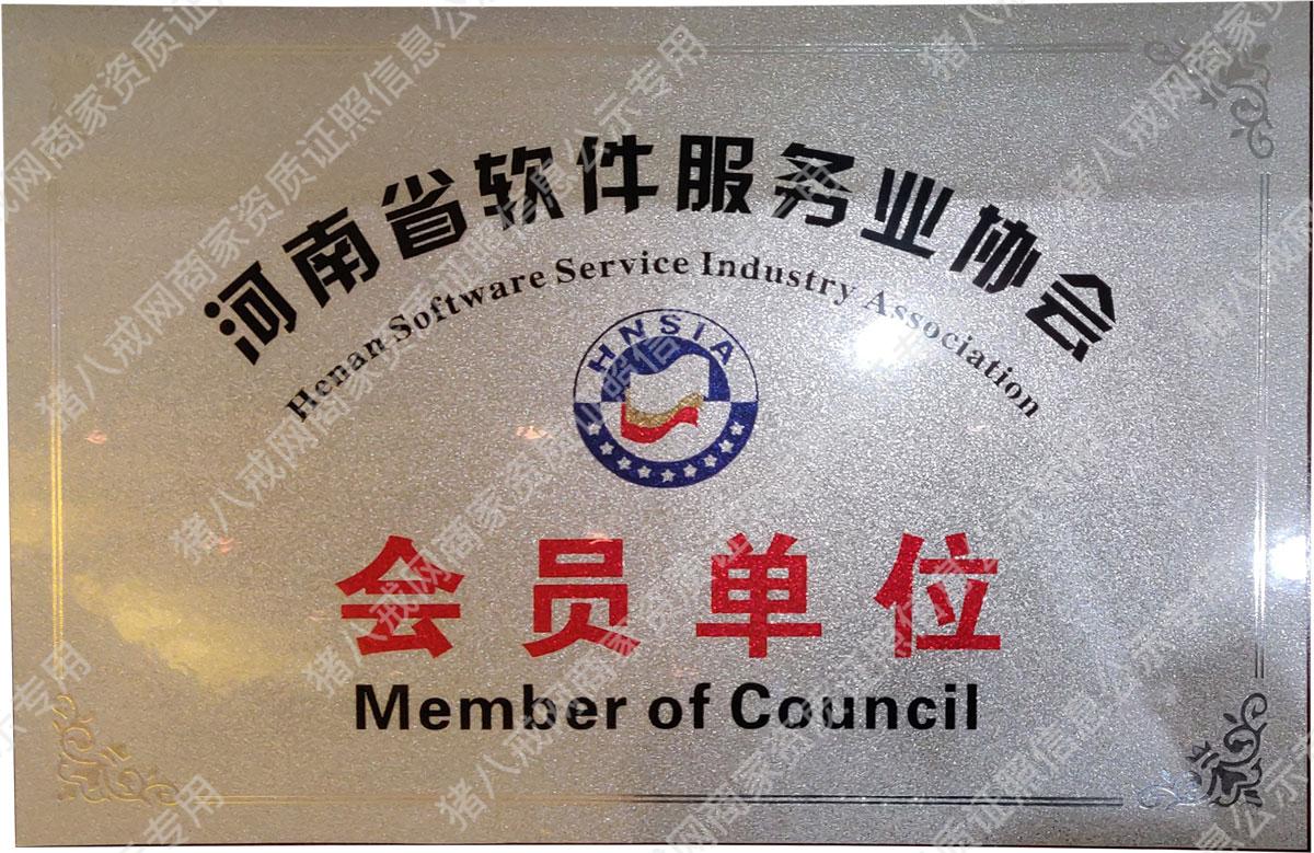 河南软件服务协会