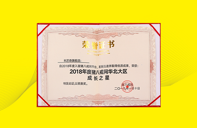 2018年度豬八戒網(wǎng)華北大區(qū)成長(zhǎng)之星