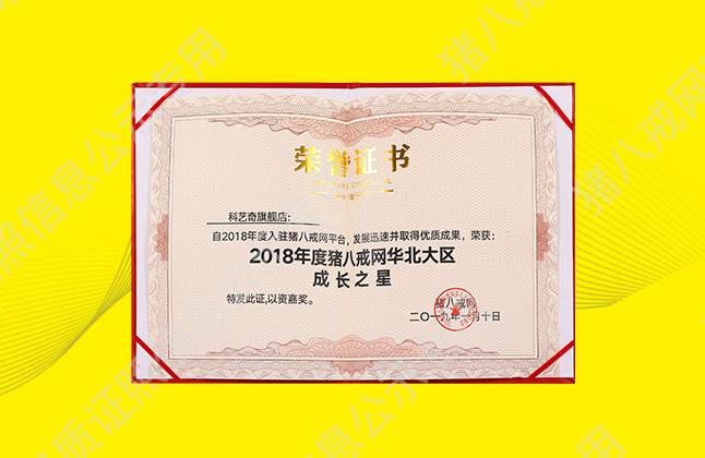 2018年度豬八戒網(wǎng)華北大區(qū)成長(zhǎng)之星