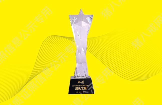 豬八戒網(wǎng)成長(zhǎng)之星