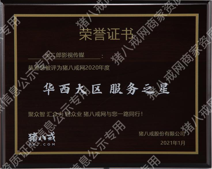 2020年度華西大區(qū)服務(wù)之星