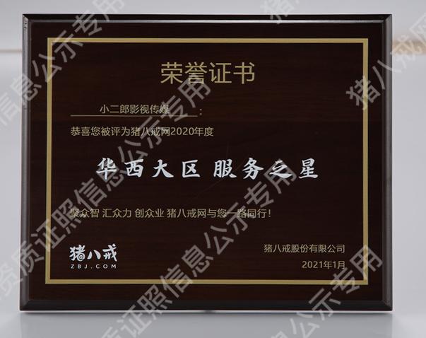 2020年度華西大區(qū)服務(wù)之星