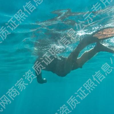 老楊1