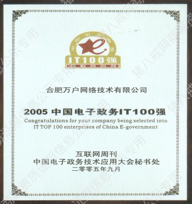 中国电子政务IT100强
