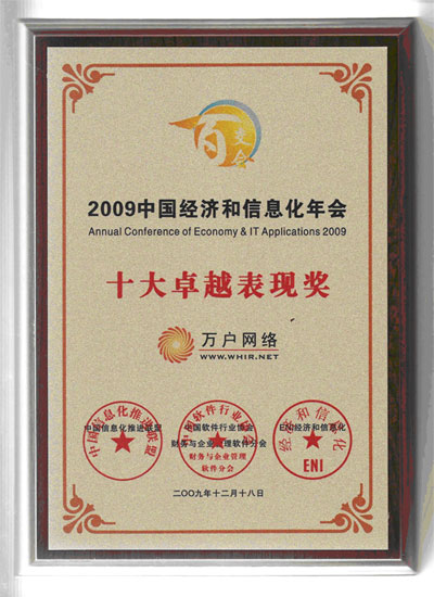 中国经济和信息化年会十大卓越表现奖