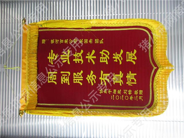 錦旗（關(guān)聯(lián)公司：天津銀河百榮科技）