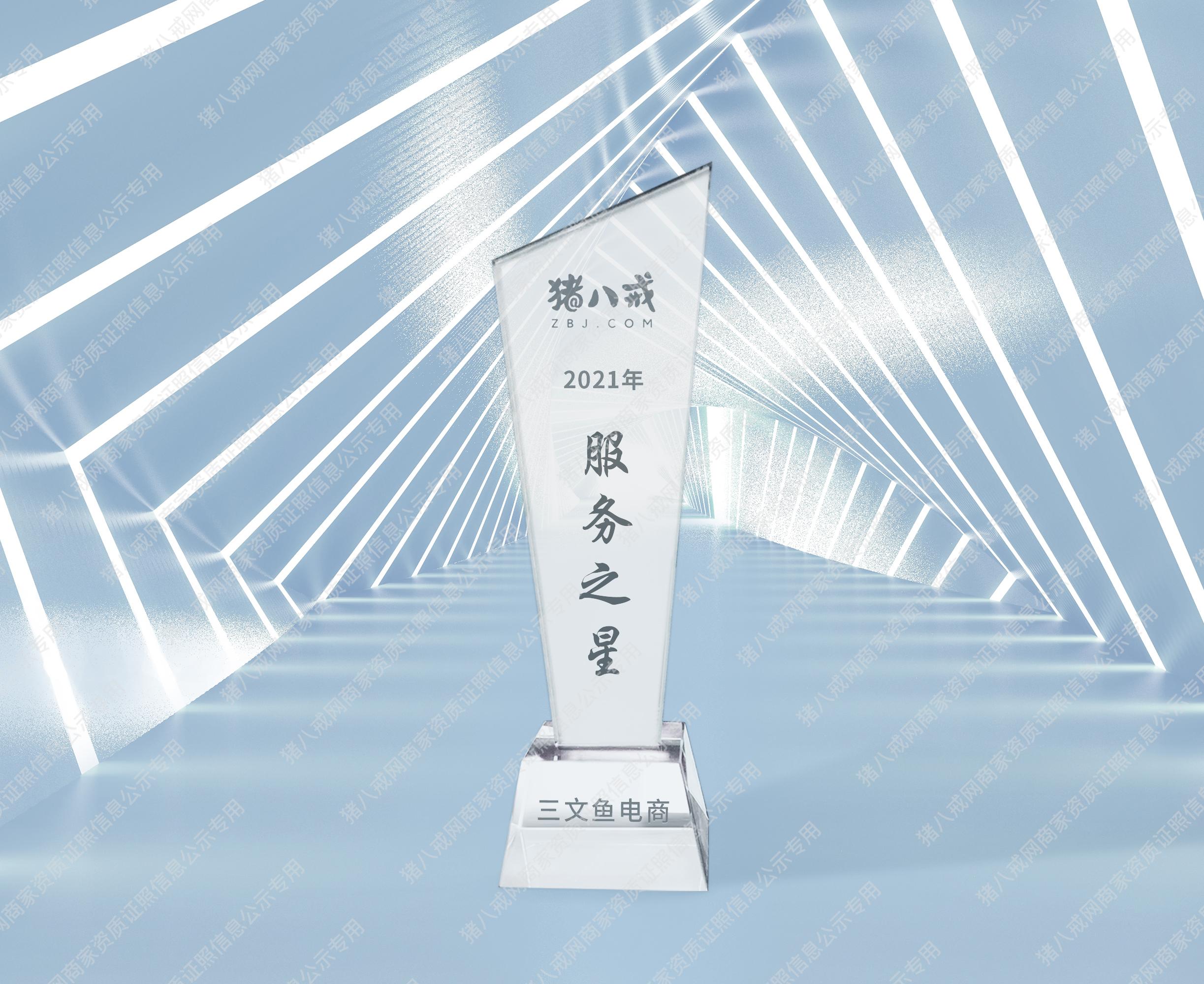 2021年八戒服務(wù)之星