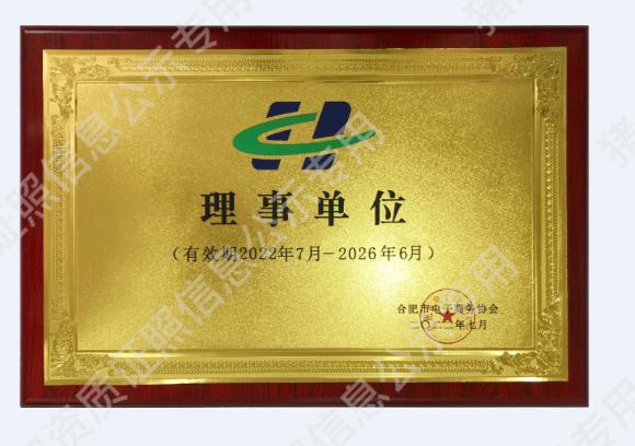 合肥市電子商務協(xié)會理事2022.7