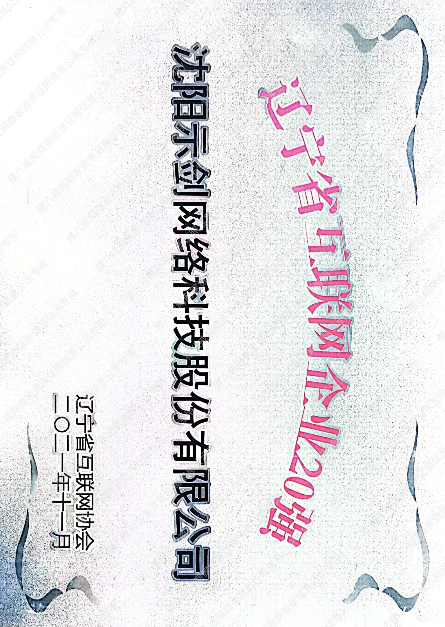 遼寧省互聯(lián)網(wǎng)企業(yè)20強