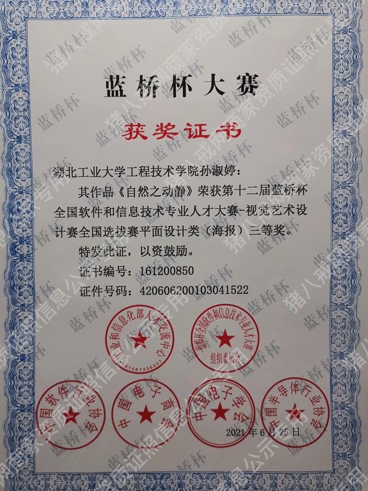 藍(lán)橋杯平面設(shè)計(jì)類三等獎