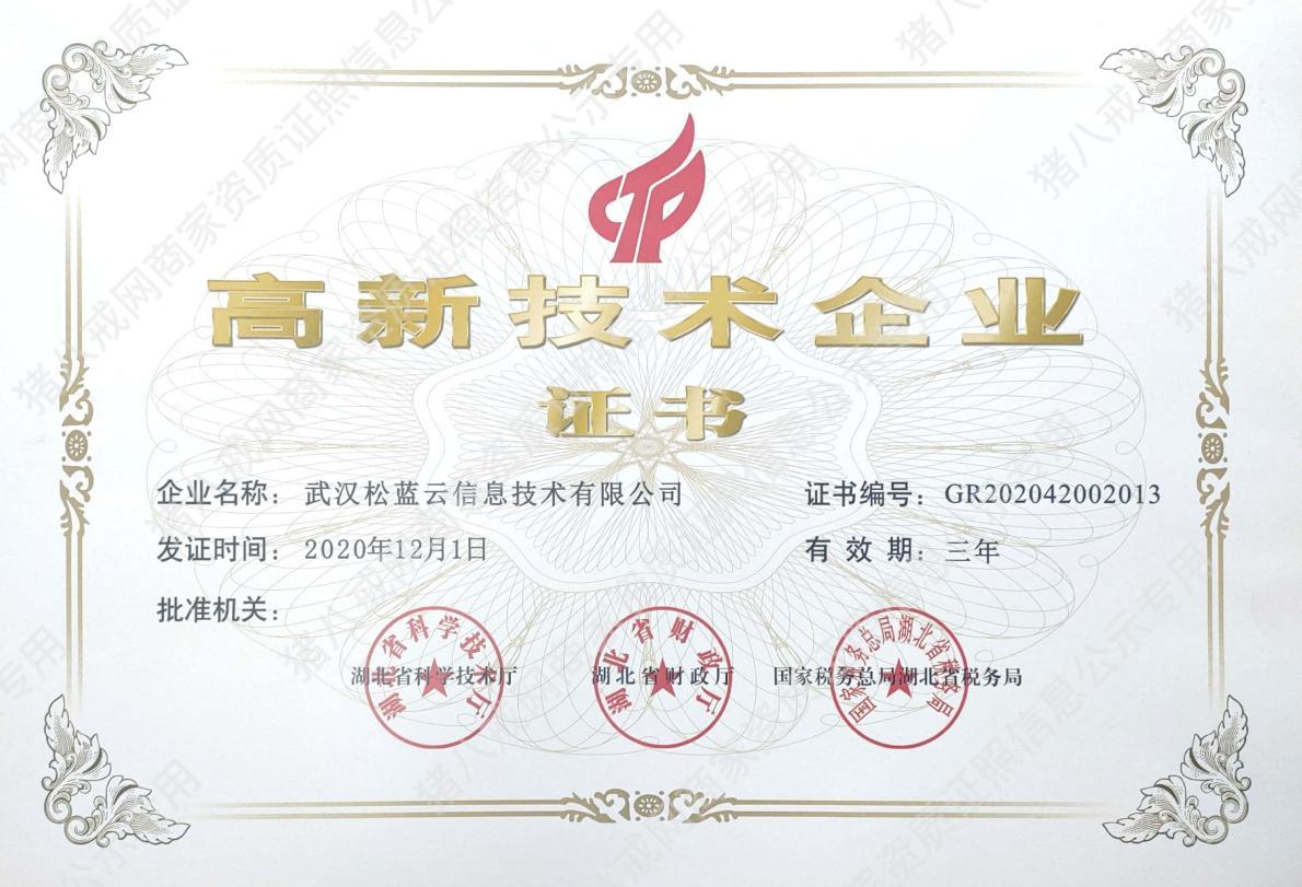 高新技術(shù)企業(yè)
