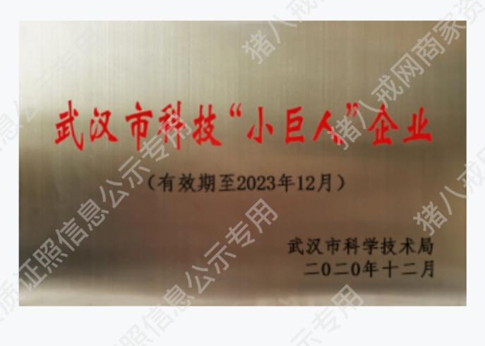 武漢市科技“小巨人“企業(yè)