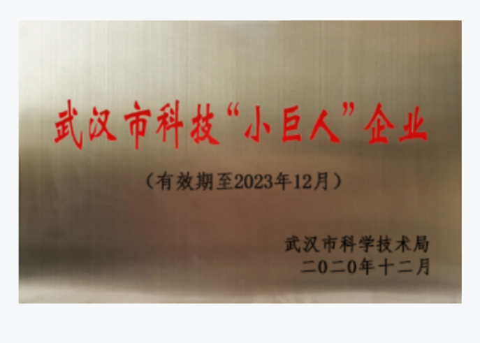 武漢市科技“小巨人“企業(yè)