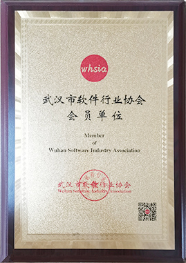 武汉软件协会会员单位