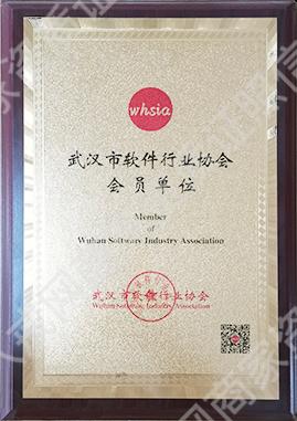 武漢軟件協(xié)會會員單位