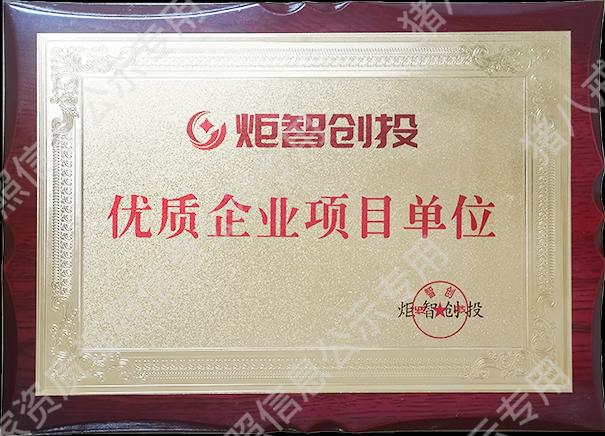 優(yōu)秀企業(yè)項目單位