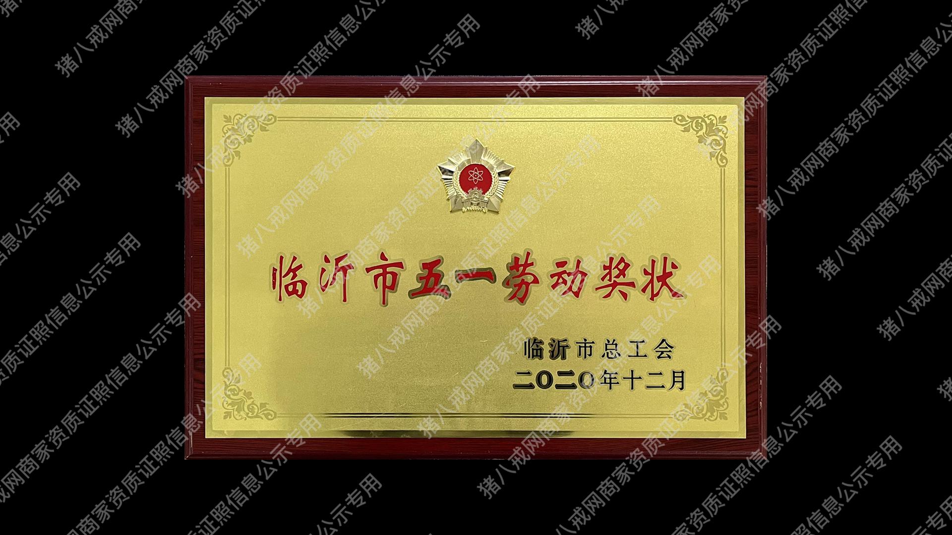 臨沂市五一勞動(dòng)獎(jiǎng)狀