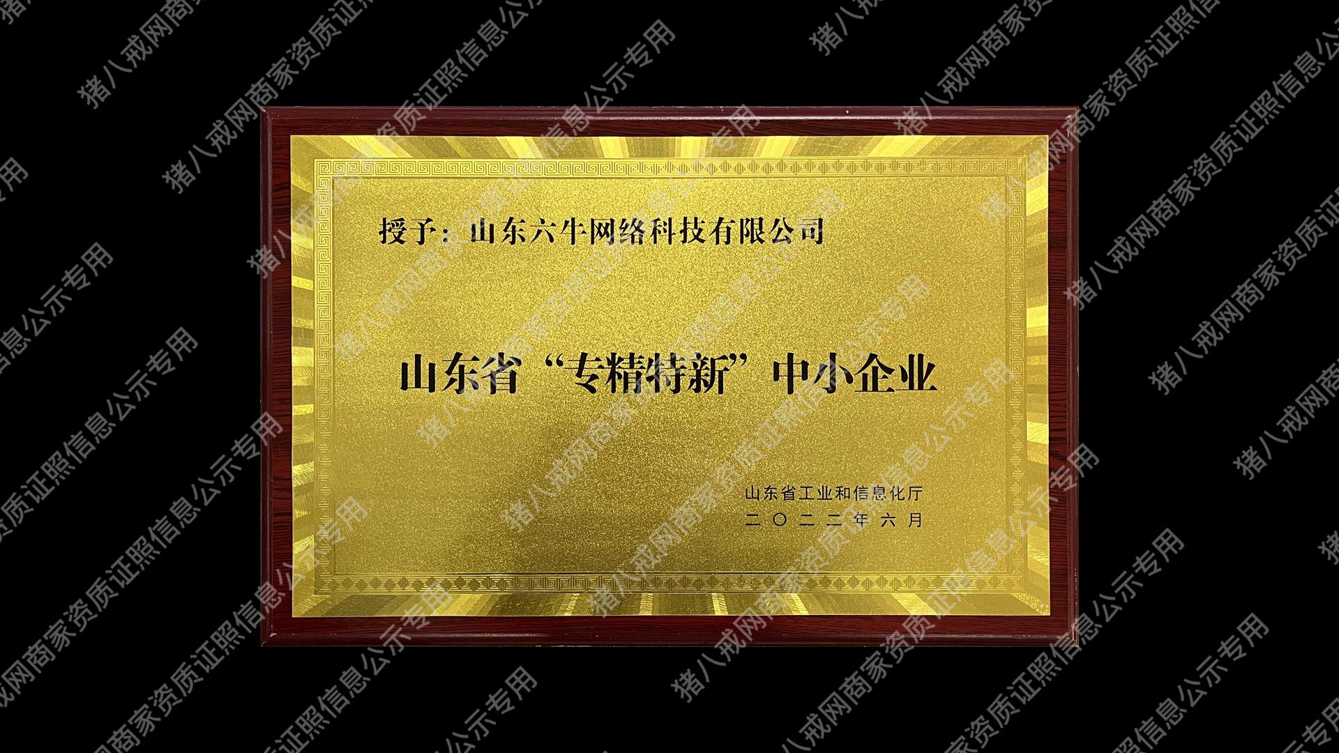 山東省“專精特新”中小企業(yè)