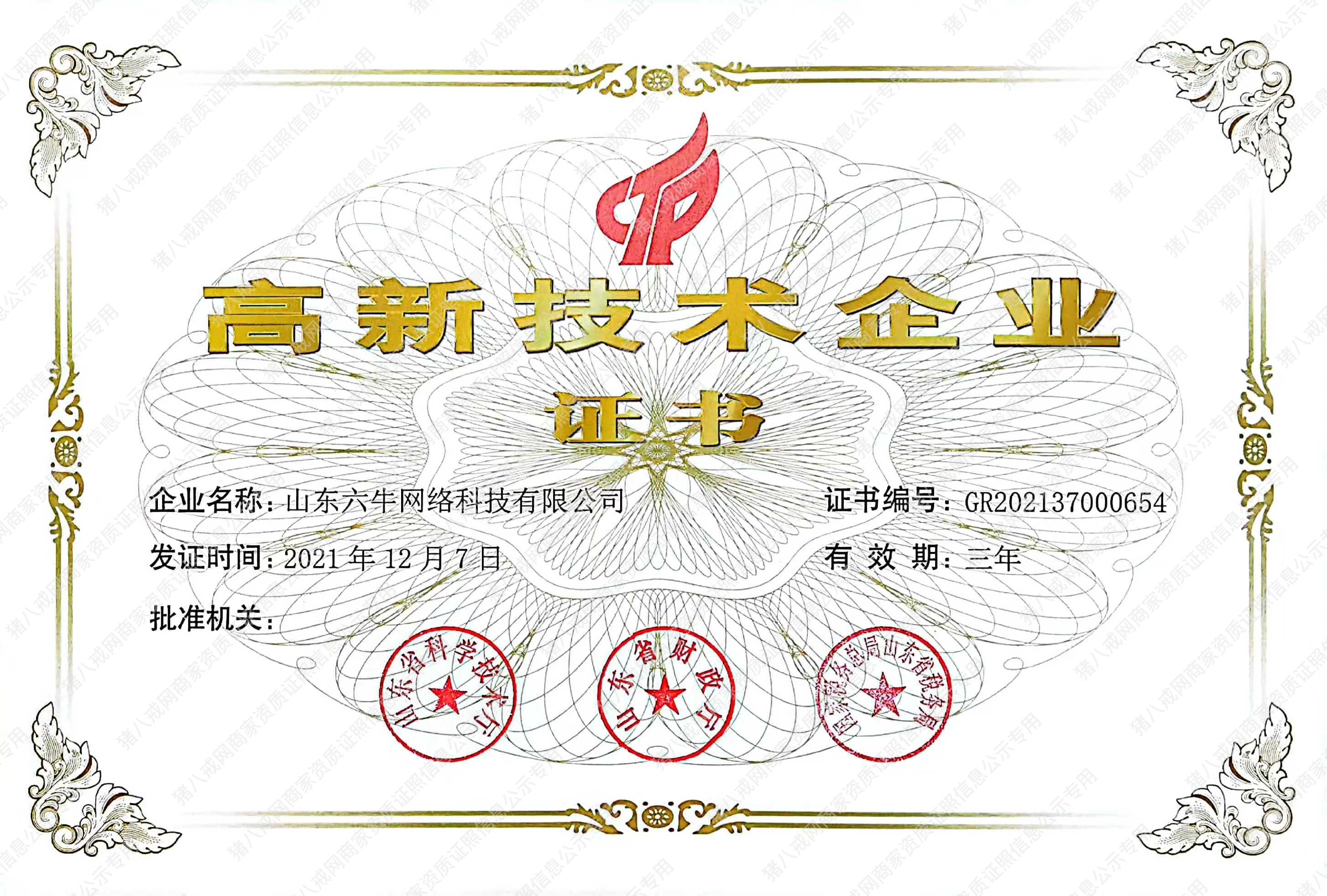 高新技術(shù)企業(yè)