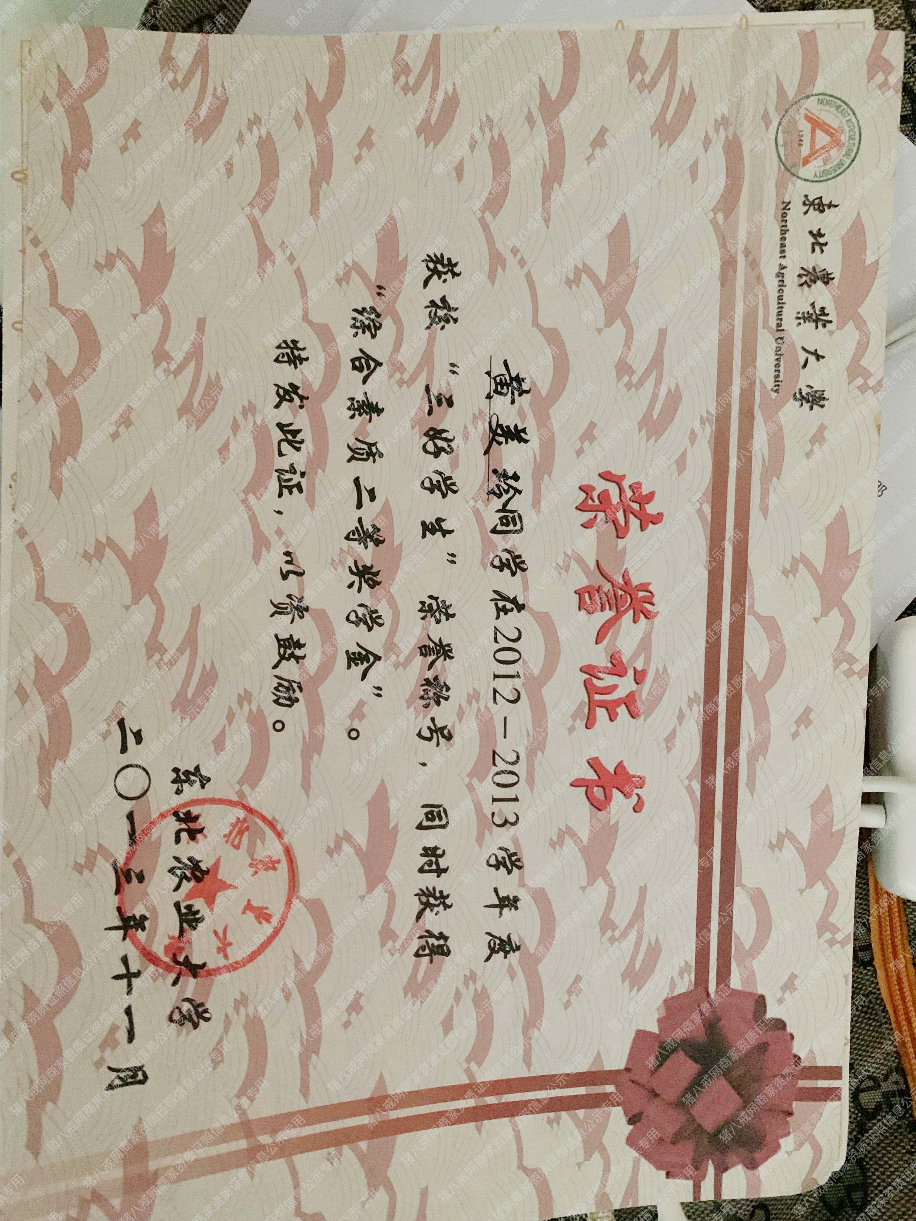 三好學(xué)生綜合素質(zhì)獎