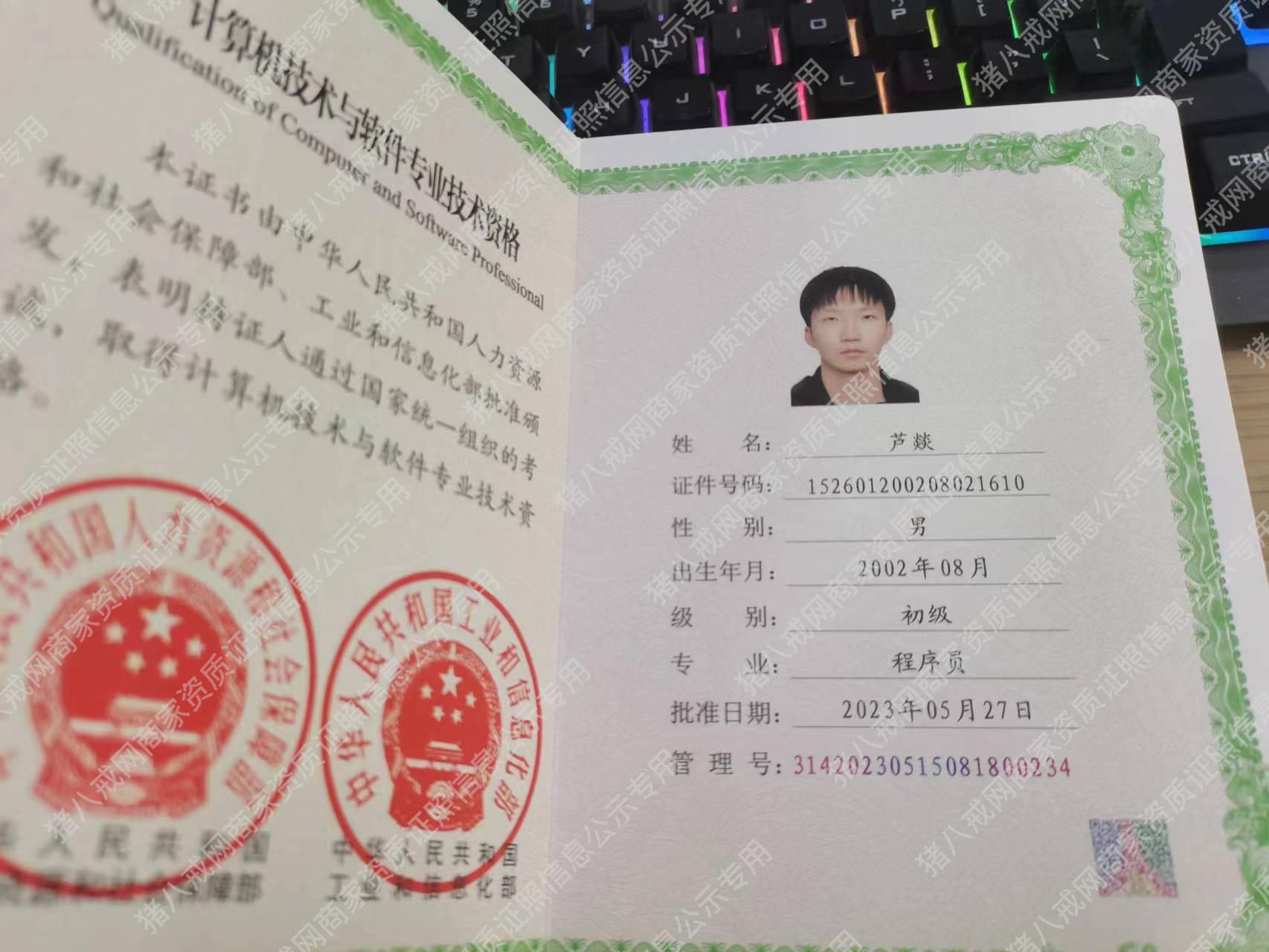 初級程序員