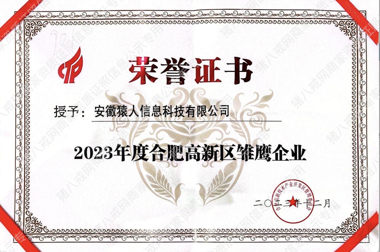 雛鷹企業(yè)
